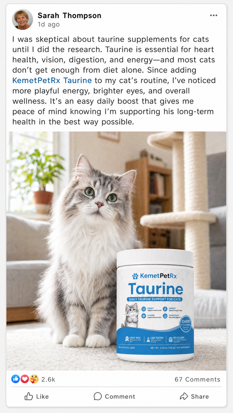 Review from Sarah Thompson: since adding KemetPetRx Taurine her cat has more playful energy and brighter eyes. Photo of her cat with a tub of Taurine.